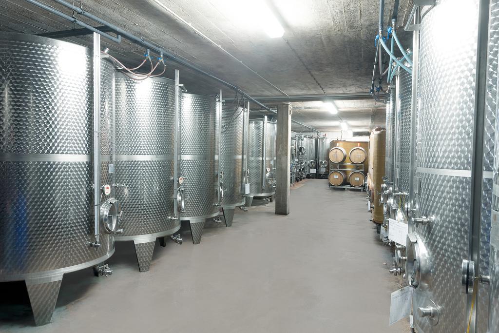 Pension Und Weingut Moselblick Браунеберг Экстерьер фото