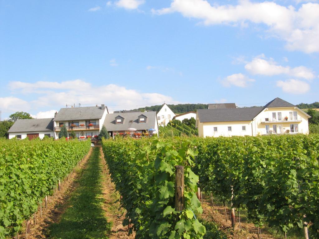 Pension Und Weingut Moselblick Браунеберг Экстерьер фото